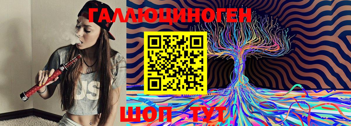 Галлюциногенные грибы Psilocybe Урюпинск
